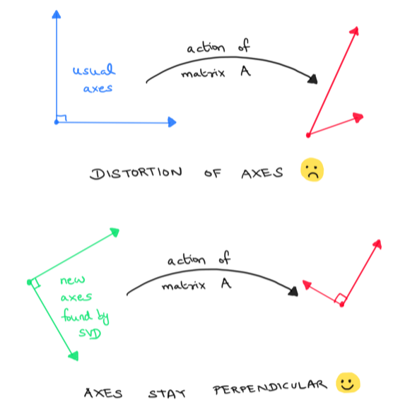 action on coordinate axes