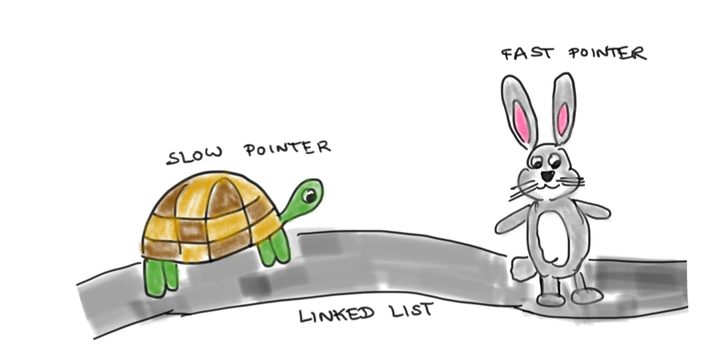 Detecting cycles using hares and tortoises